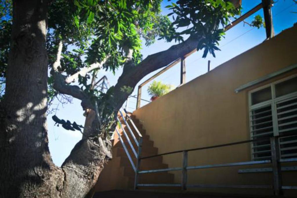 Villa Coral Guesthouse photo 3