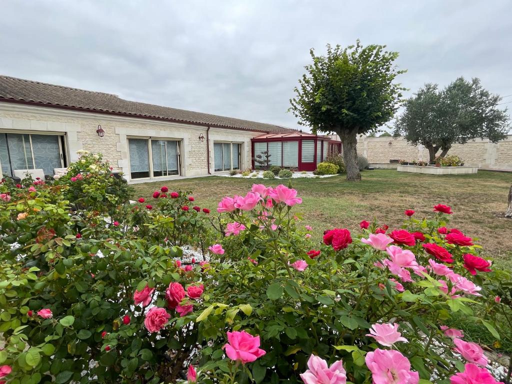 Domaine du Clos Pallacien photo 3