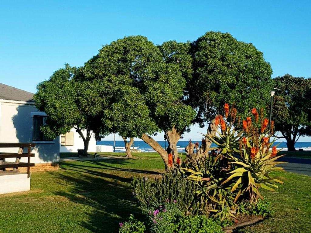 4 On Hoffman Seaview photo 1