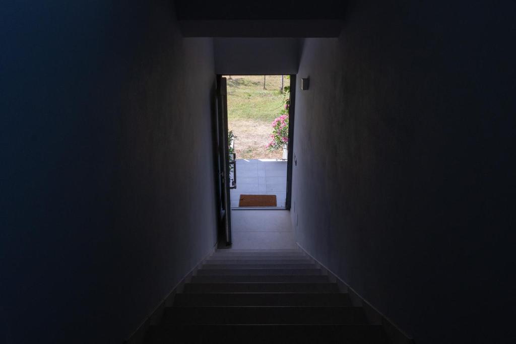 Al Settimo Miglio, alloggio agrituristico photo 3