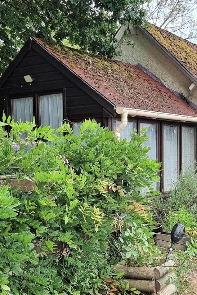 River Cottage photo 3