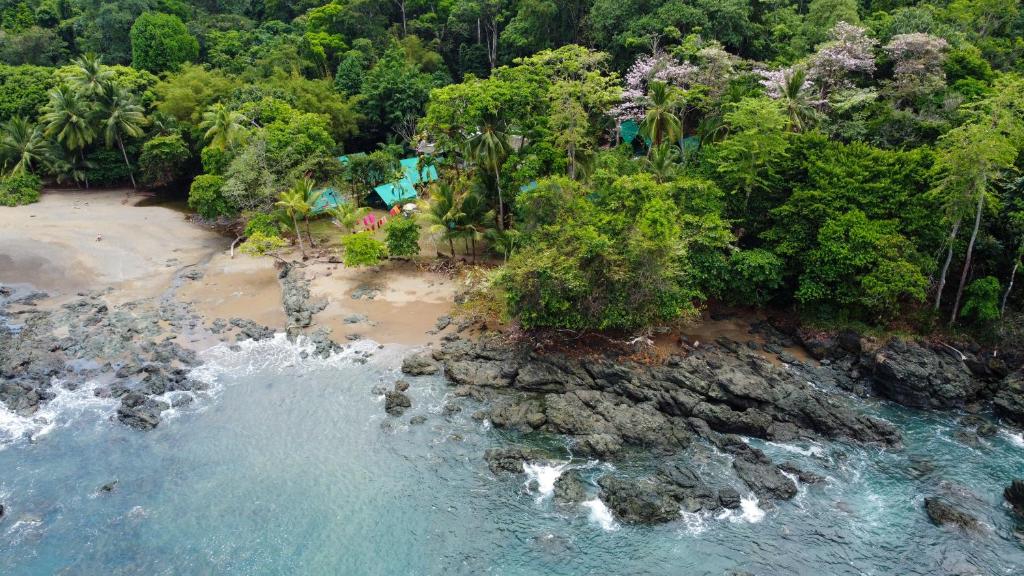 Corcovado Adventures photo 3