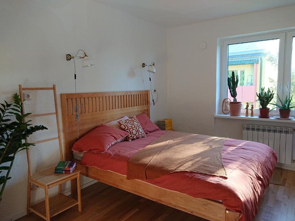 Õdus korter roheluses - A cozy apartment in a greenery - contactless check-in photo 3