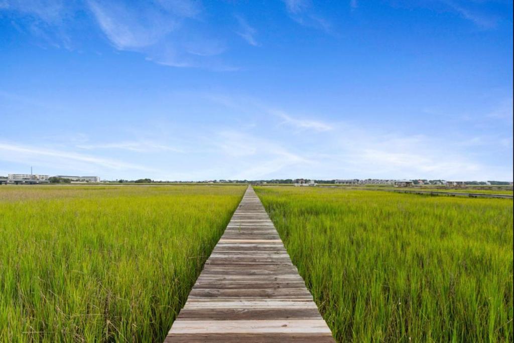 Folly Vacation Vintage Cottage with Stunning Views 218 photo 3