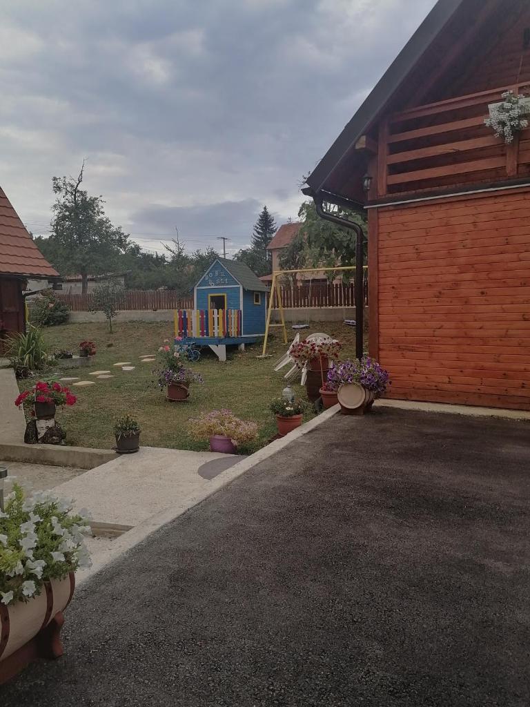 Brvnara DAĐ Nikolić photo 1