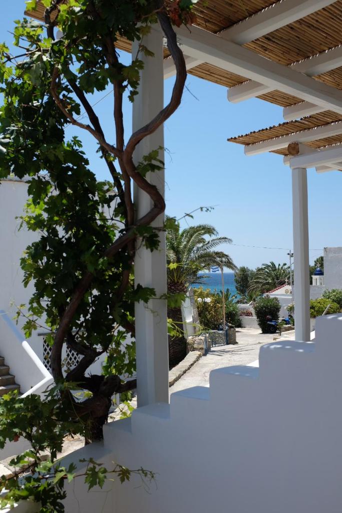 ARK Tinos photo 2