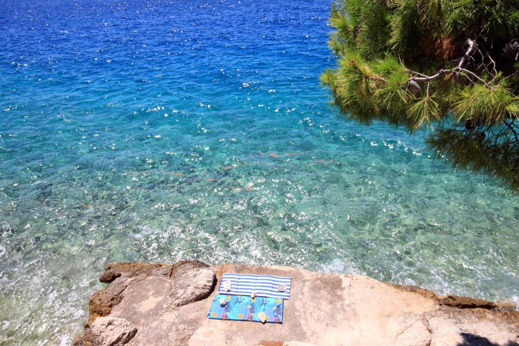 Apartments by the sea Promajna, Makarska - 2592 photo 4