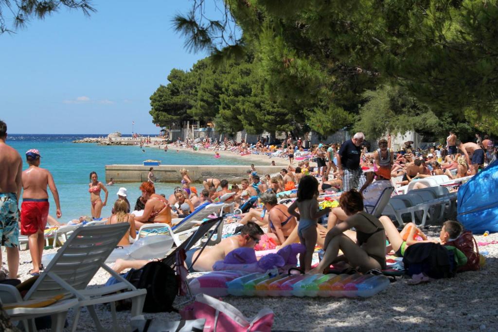 Apartments with a parking space Baska Voda, Makarska - 2609 photo 3