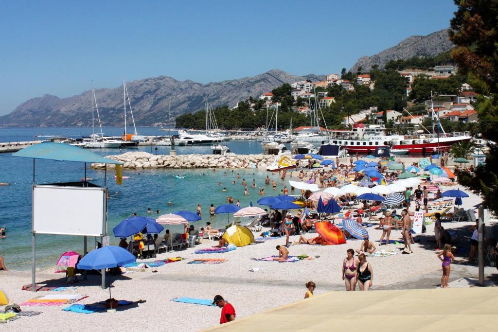 Family friendly apartments with a swimming pool Baska Voda, Makarska - 12442 photo 4