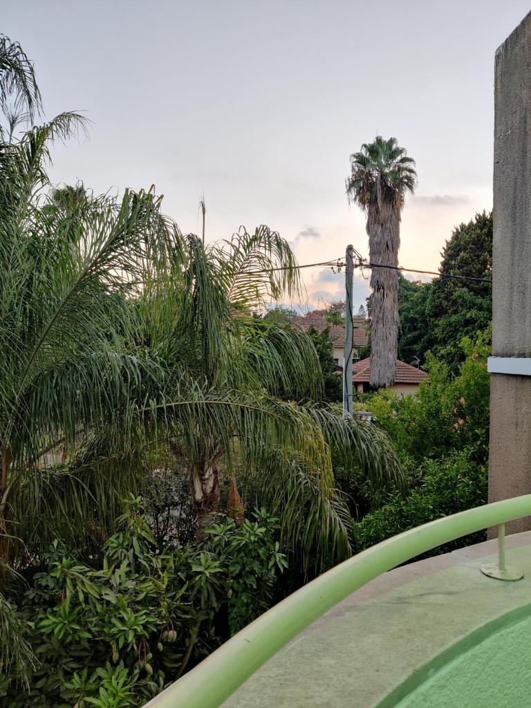 בית מרום photo 3