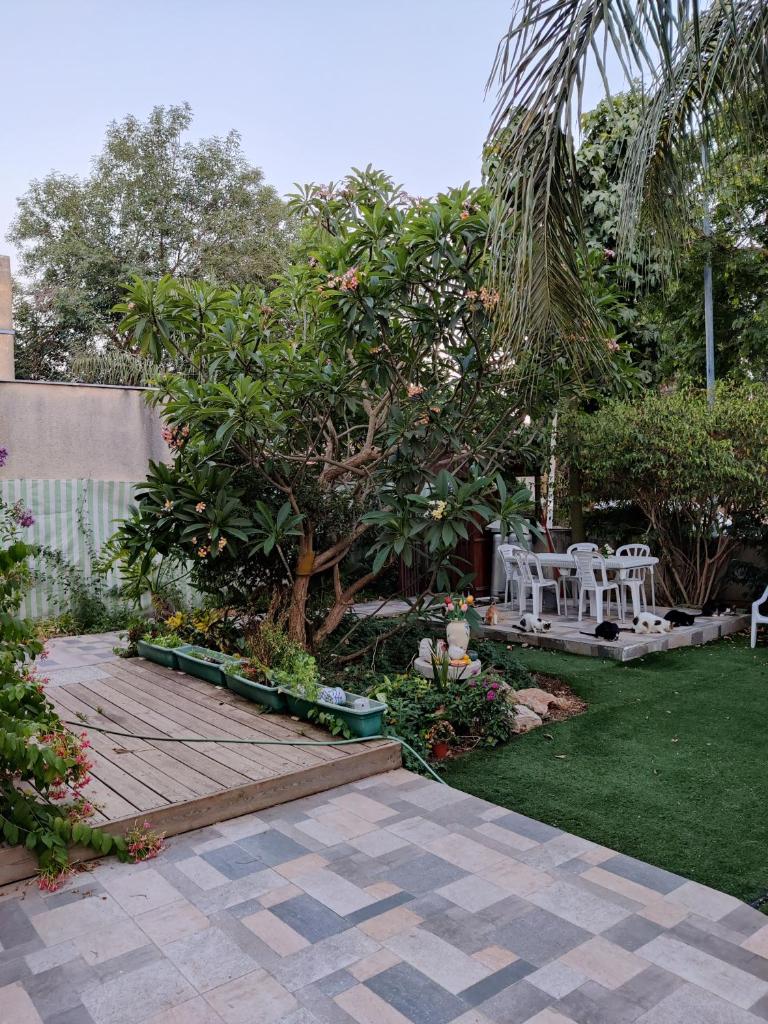 בית מרום photo 1