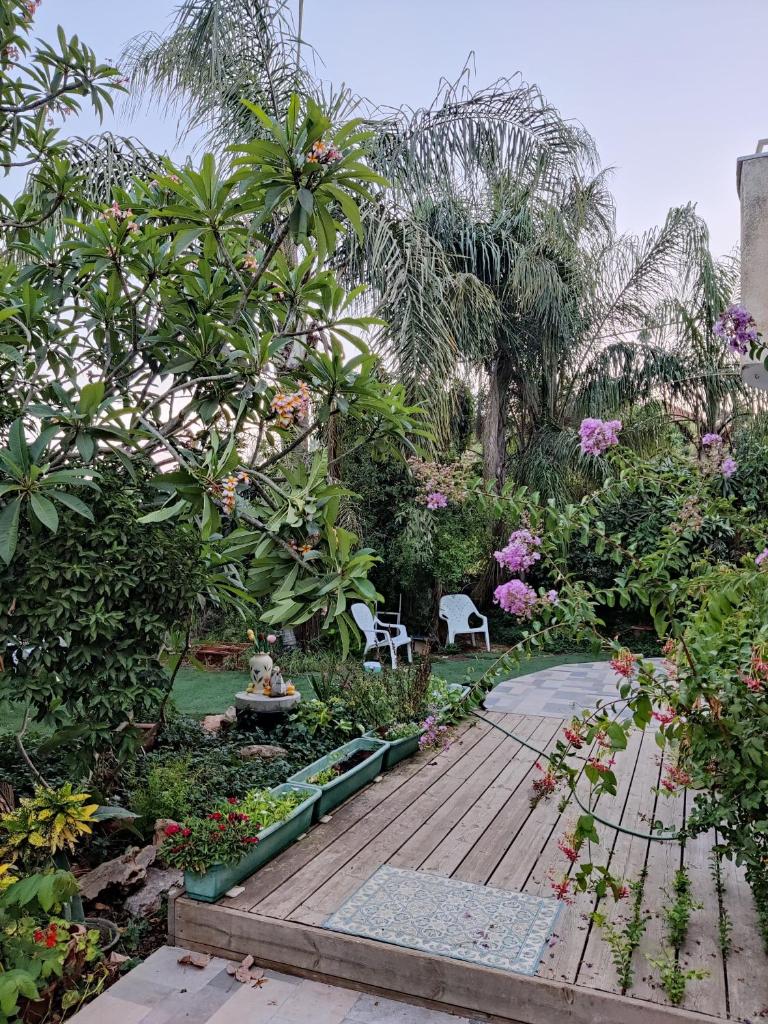 בית מרום photo 2