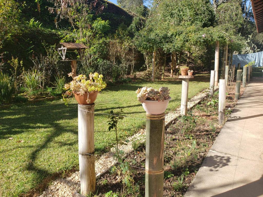 Sitio Natividade photo 3