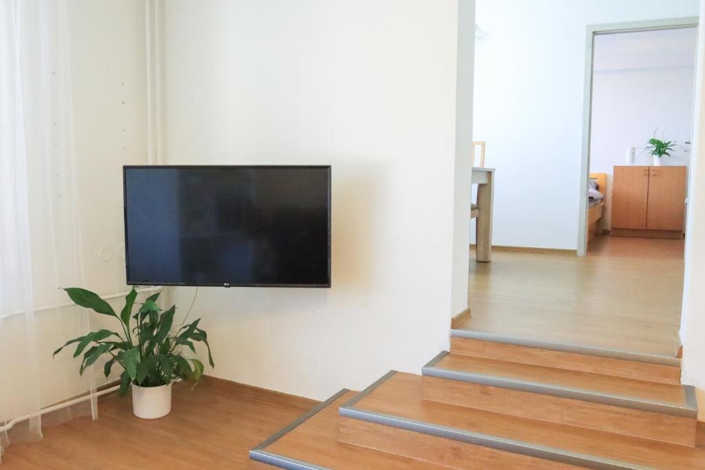 Pohodlný apartmán s ptačí zahradou photo 1