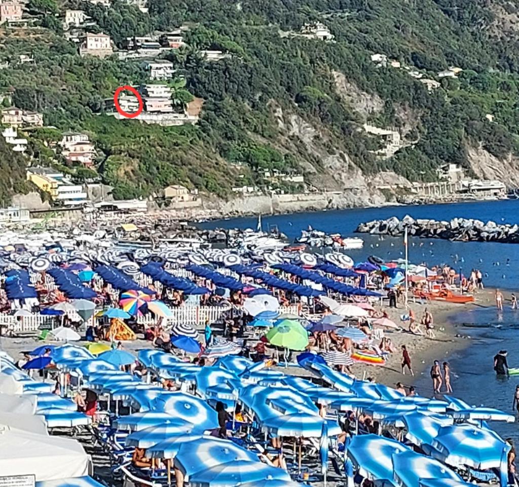 Appartamenti Enrica with amazing view photo 3