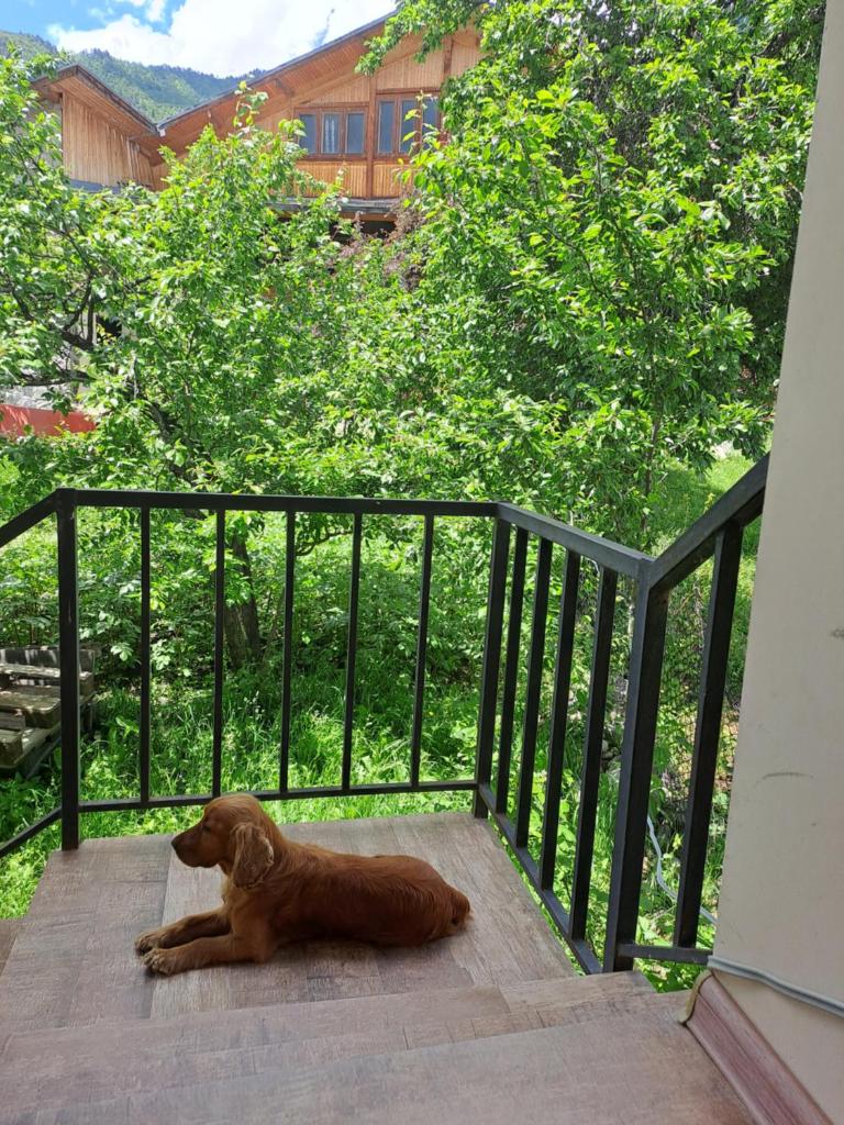 Irina's Guesthouse photo 4