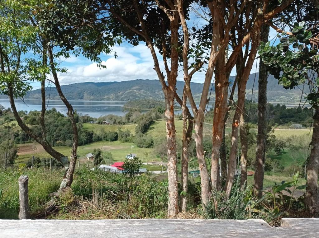 Cabaña de camping Villa Ernestina photo 4