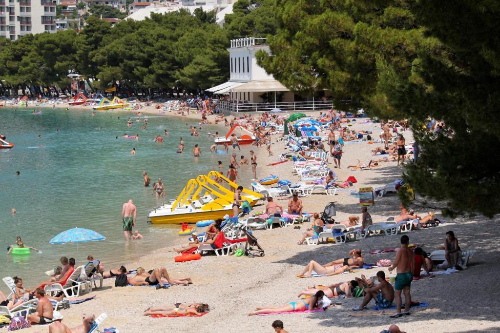 Apartments with a parking space Makarska - 17224 photo 1