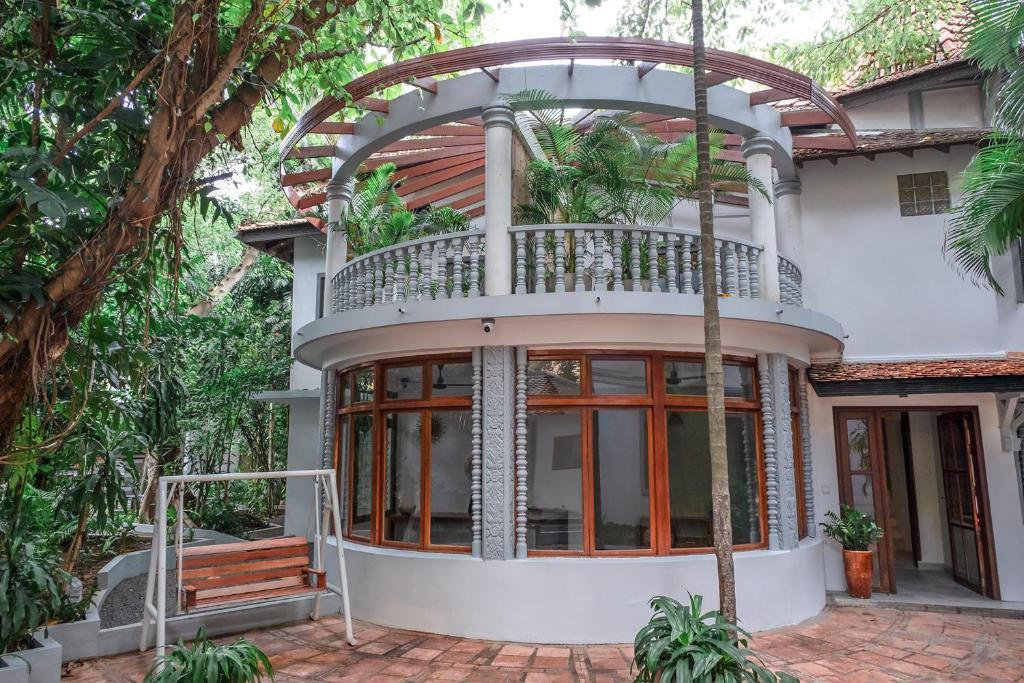Jungle Addition photo 1