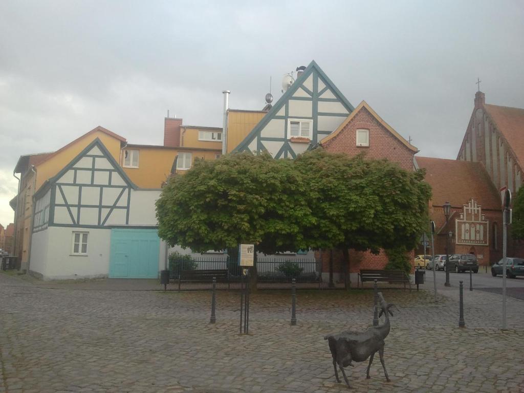 Stavenhof Röbel photo 3