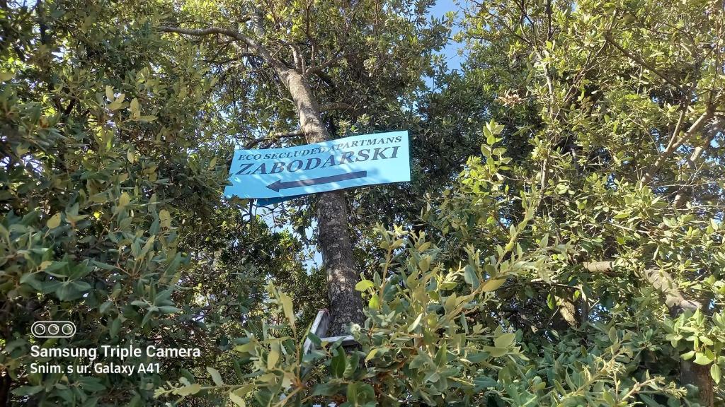 Eco Secluded apartments Zabodarski photo 4