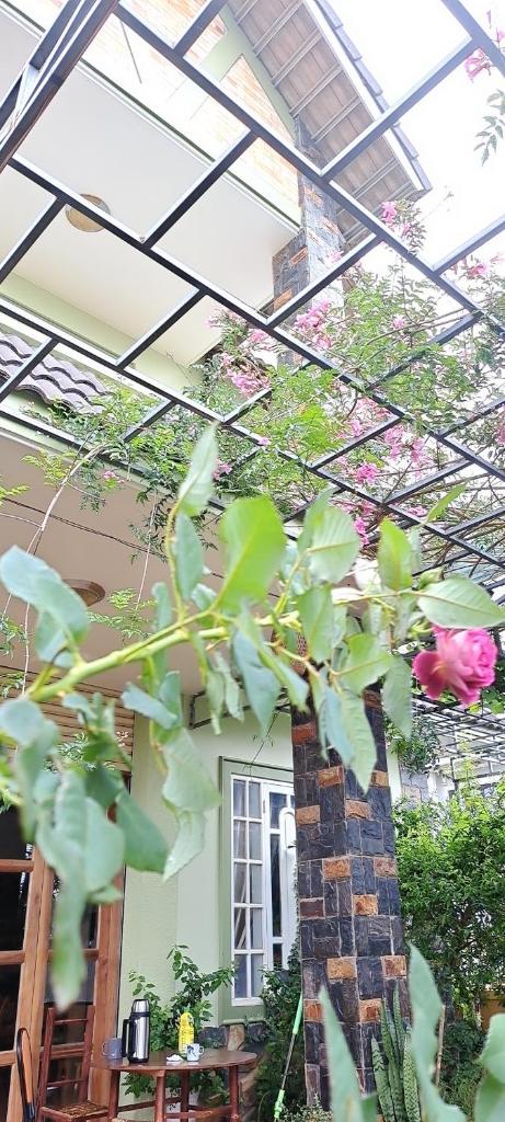 Dalat Garden Villa photo 3