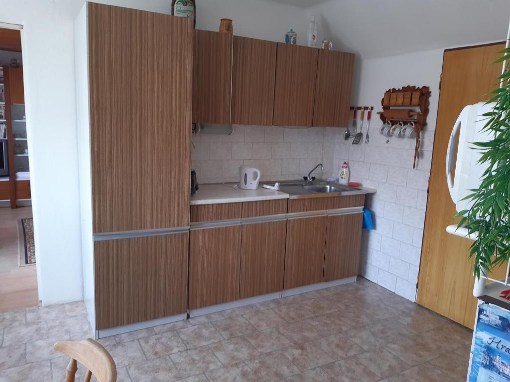 Apartmán v rodinném domě photo 3