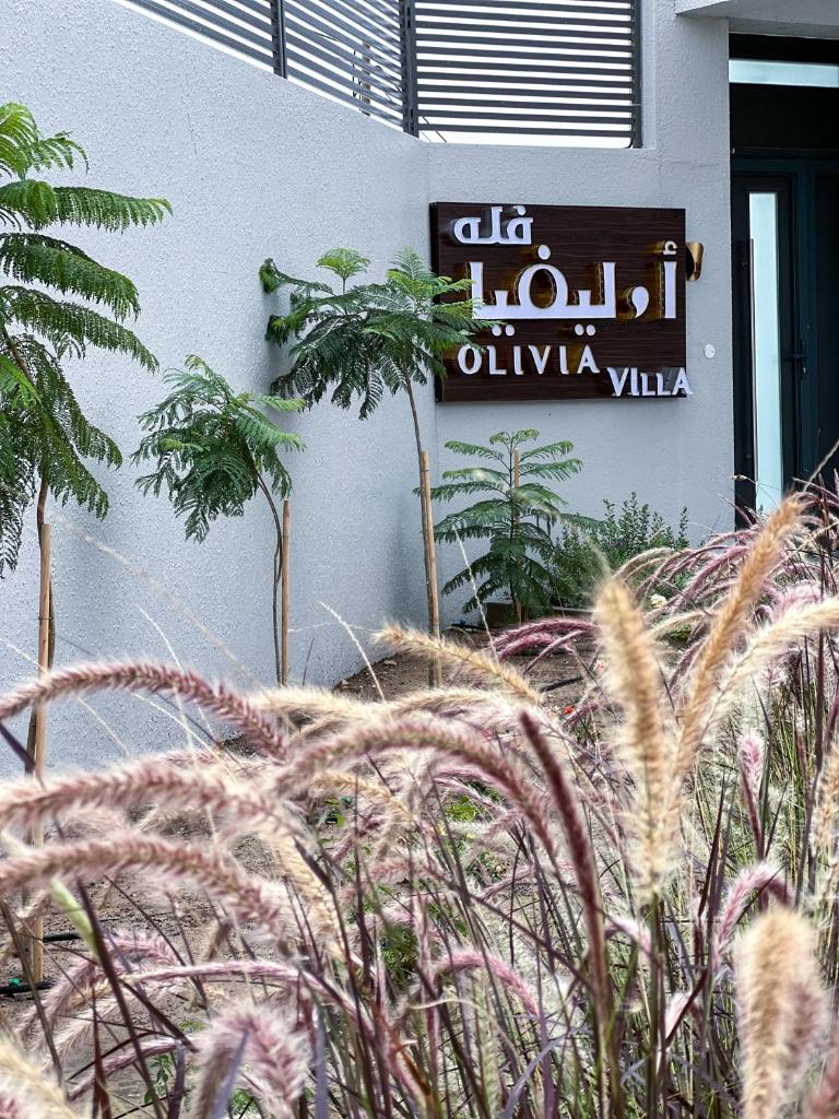 Olivia Chalet فلة أوليفيا