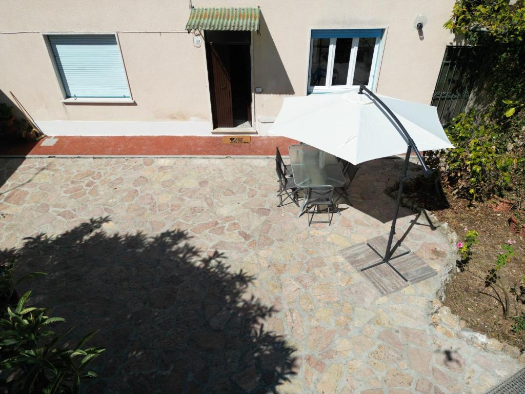 Il giardino delle Cycas photo 2