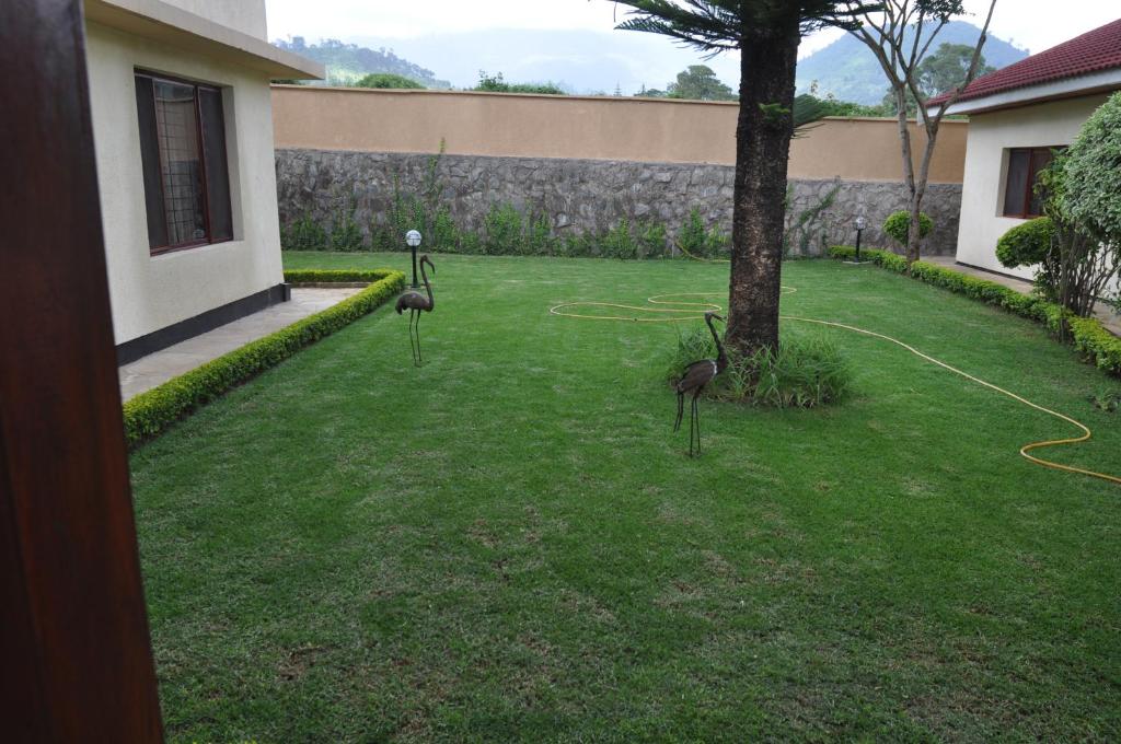 The Milimani Lodge photo 1