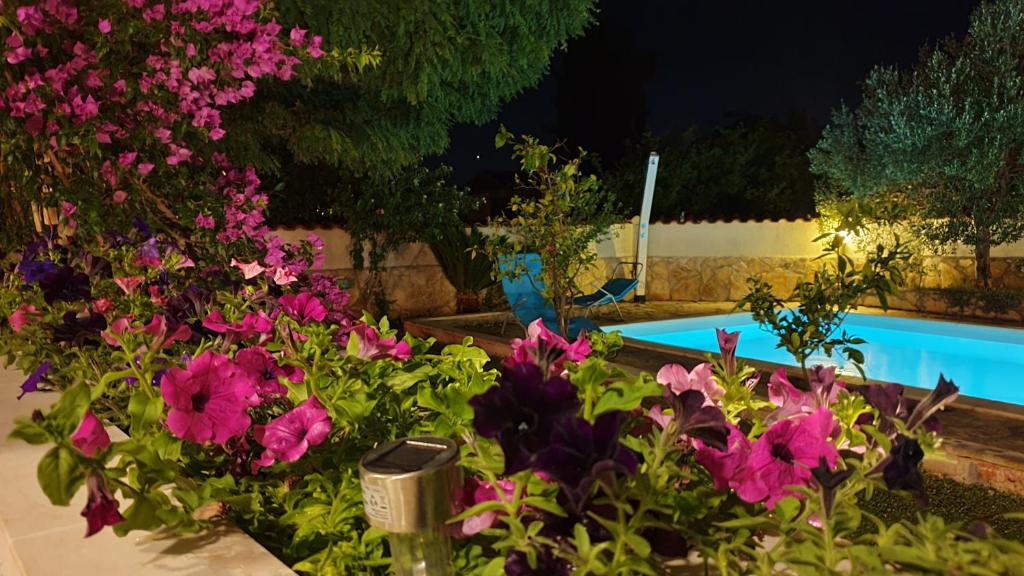 Holiday home with pool, Supetar, Island Brac photo 3
