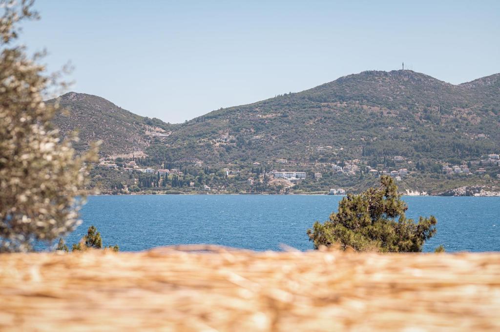 Blue Garden Samos Apartments photo 2