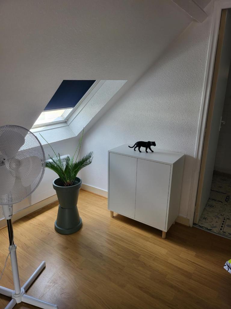 Appartement style loft en centre ville photo 1