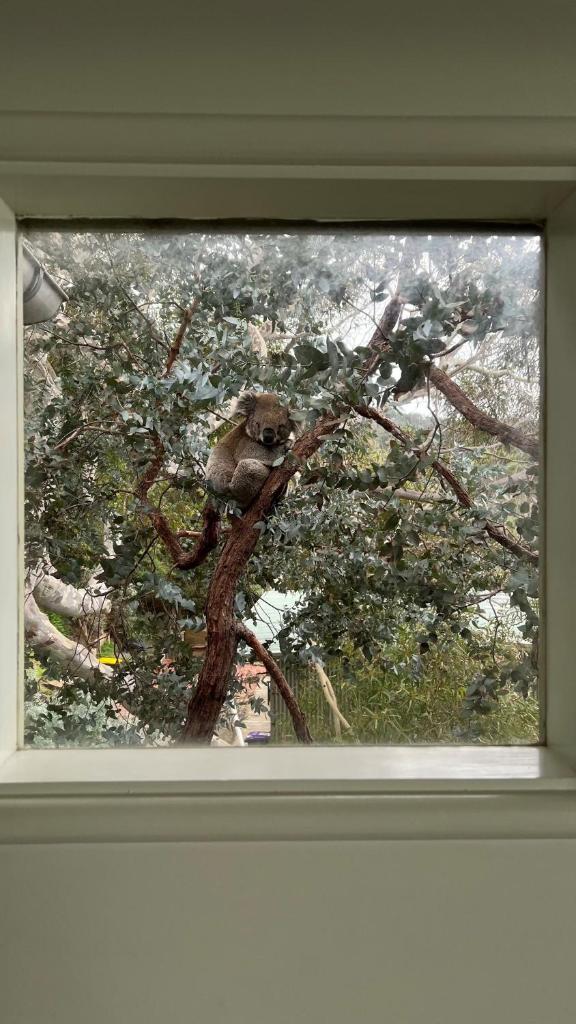 Hideaway At Wye photo 2