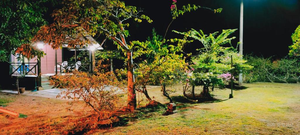 Bungalow Mat Hj Limah photo 1