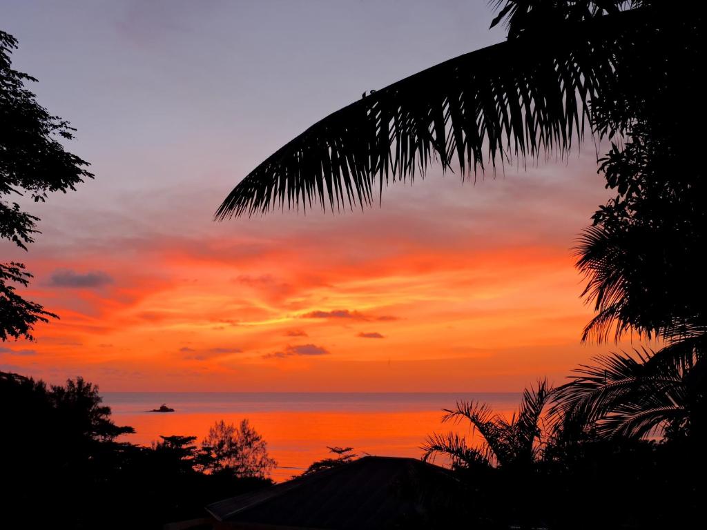 Red Coconut Self-Catering photo 3