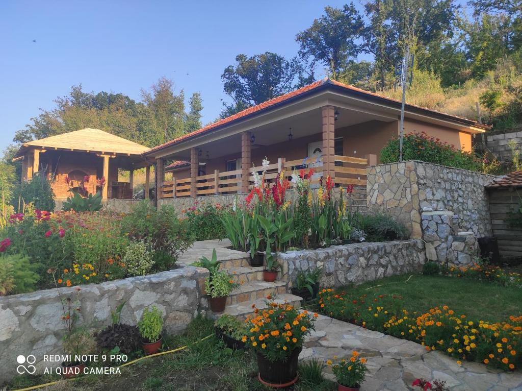 Vila Vera Borsko Jezero photo 2