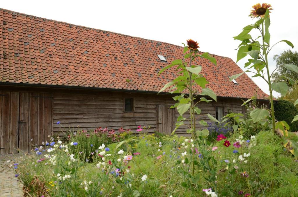 B&B De Hulst photo 4