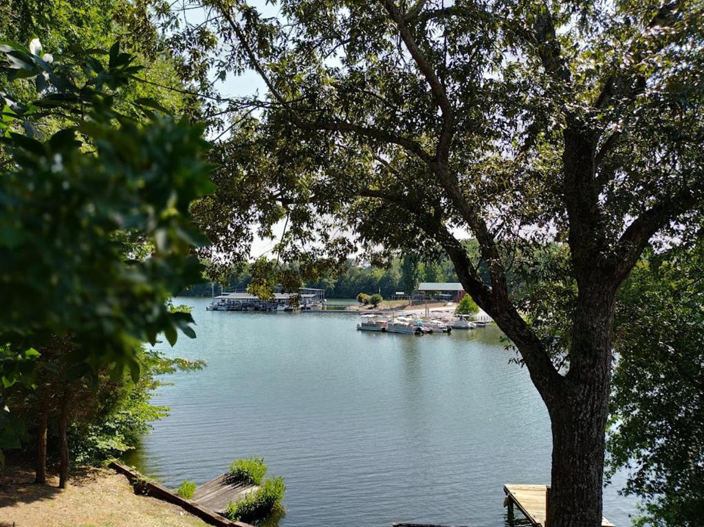 LAKEFRONT Home at Lake Chickamauga! Walk to the Marina! photo 4