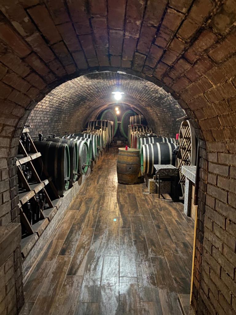 Penzion - Vinařství Hanuš photo 3
