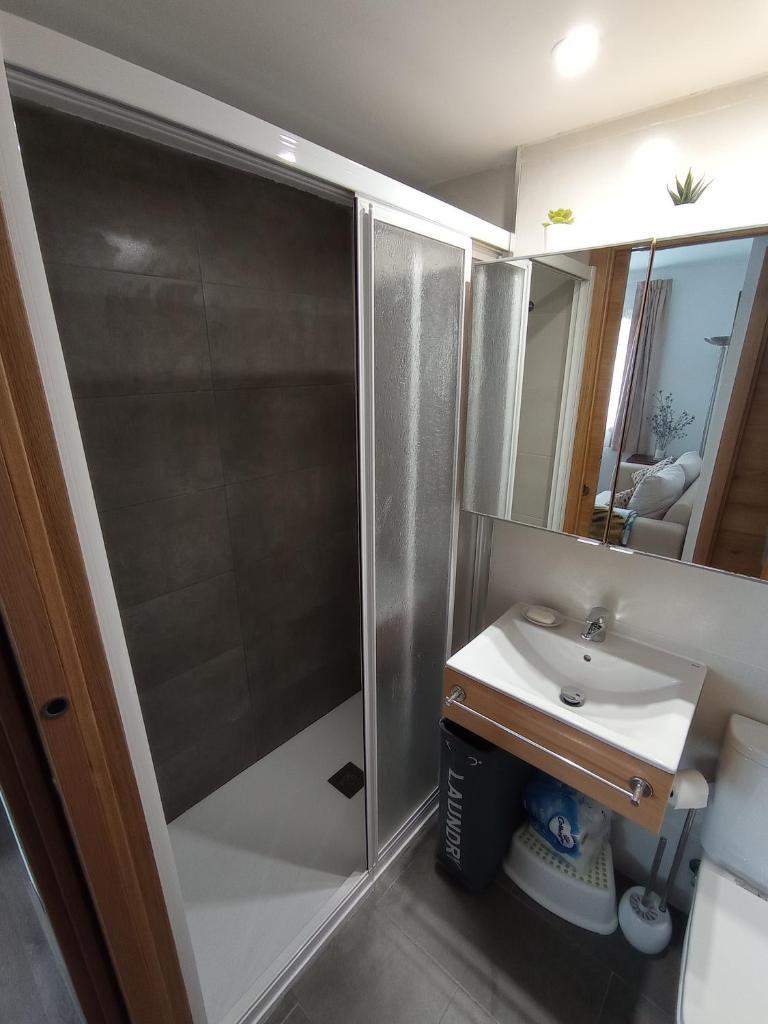 Apartamento Selva Verde Panticosa Pistas photo 4