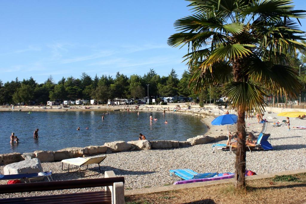 Apartments by the sea Vrsar, Porec - 6944 photo 3