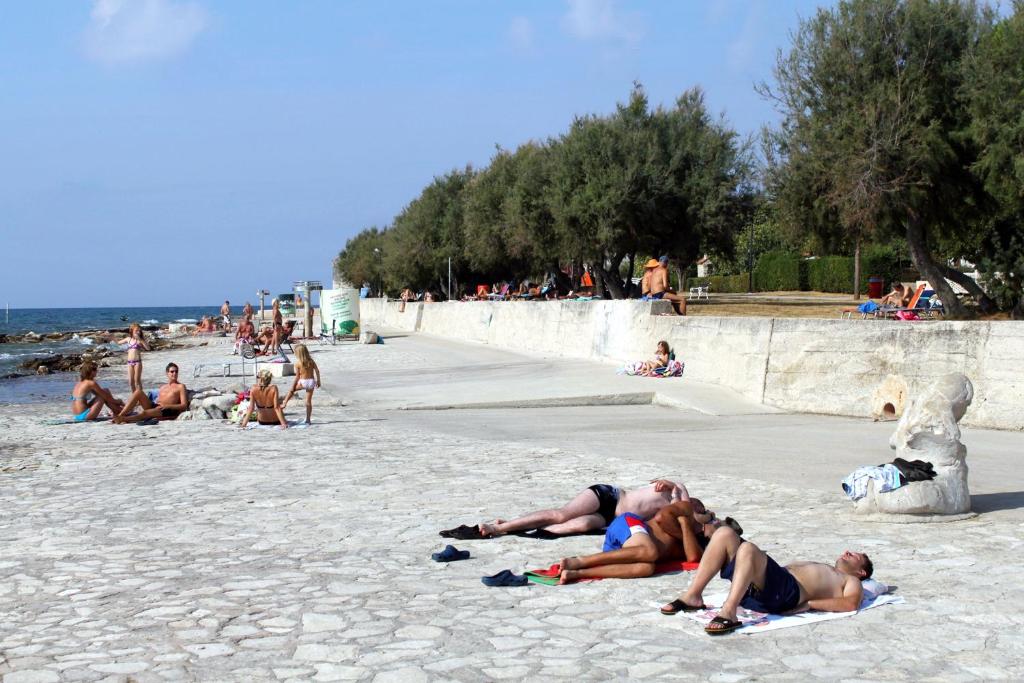 Apartments by the sea Novigrad - 6979 photo 4