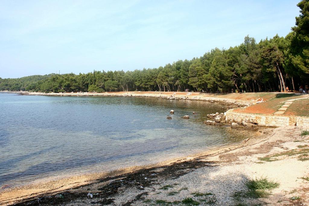 Family friendly apartments with a swimming pool Rovinj - 3394 photo 3