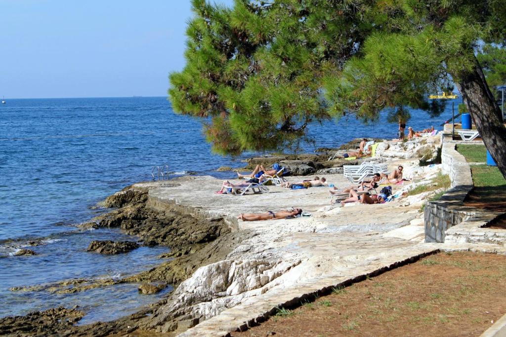 Apartments with a parking space Porec - 7154 photo 2