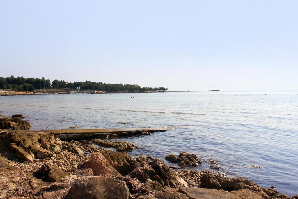 Apartments by the sea Zambratija, Umag - 6997 photo 3