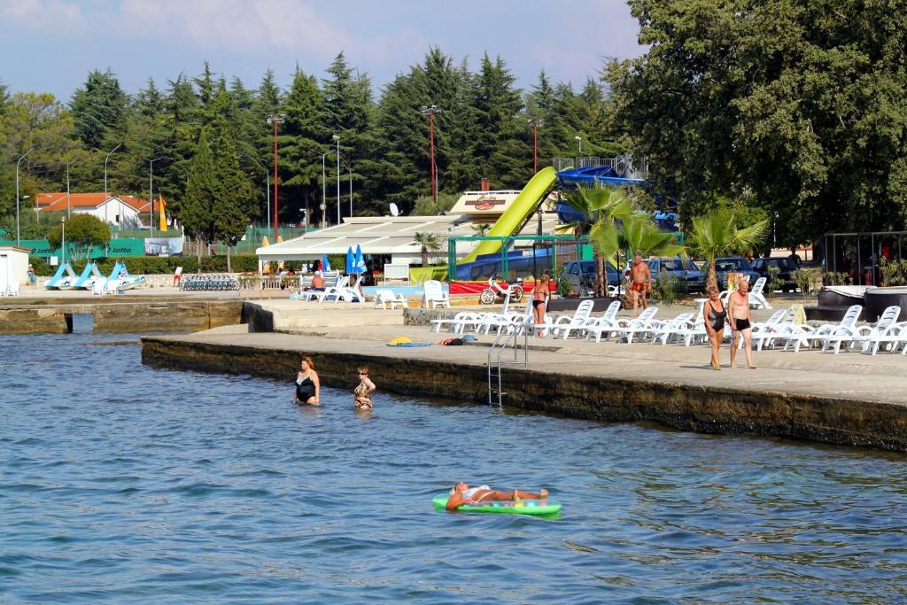 Family friendly apartments with a swimming pool Nova Vas, Porec - 14167 photo 3