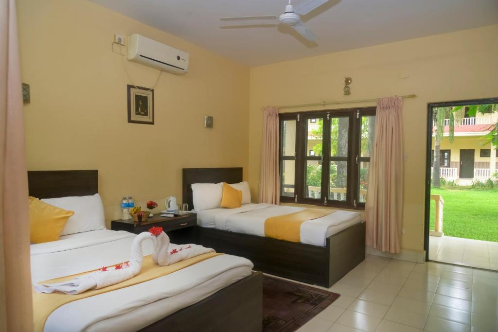 Hotel Rainforest photo 3