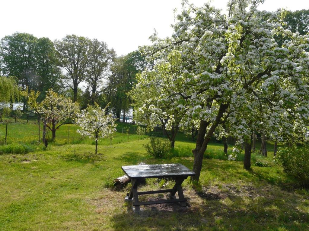 Das Haus am See photo 3
