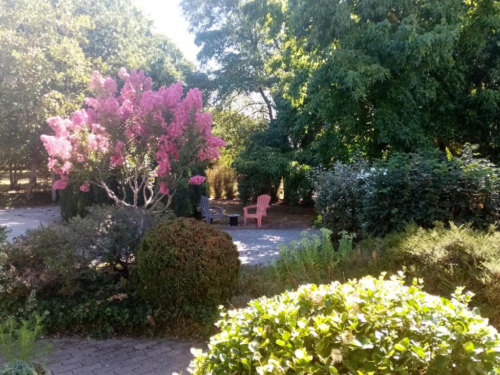 l'Eden naturiste écureuil photo 1